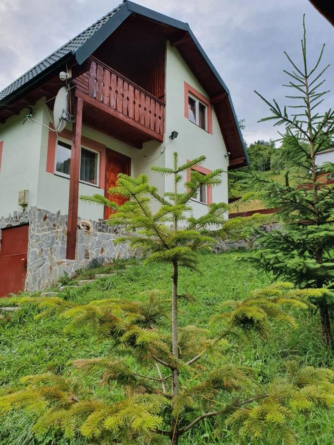 Villa Casa Dor De Ea Dîmbovicioara Esterno foto