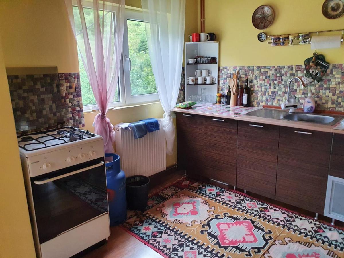 Villa Casa Dor De Ea Dîmbovicioara Esterno foto