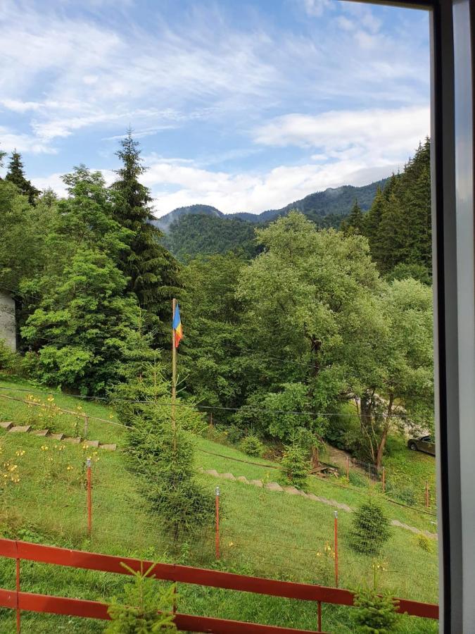 Villa Casa Dor De Ea Dîmbovicioara Esterno foto