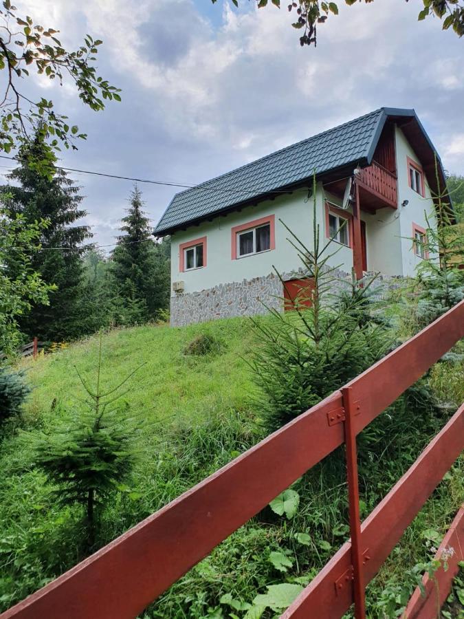 Villa Casa Dor De Ea Dîmbovicioara Esterno foto